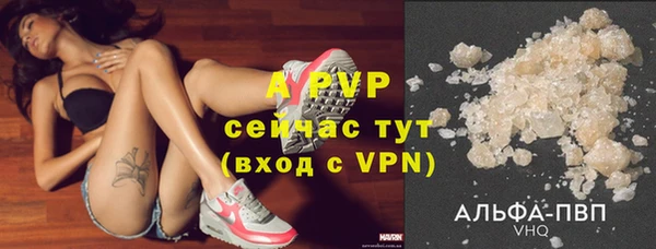 гашик Надым