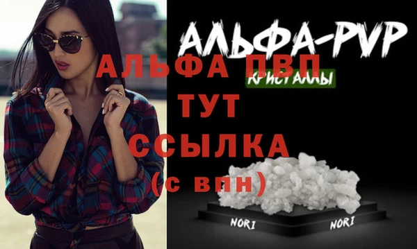 гашик Надым