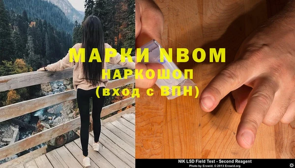 гашик Надым
