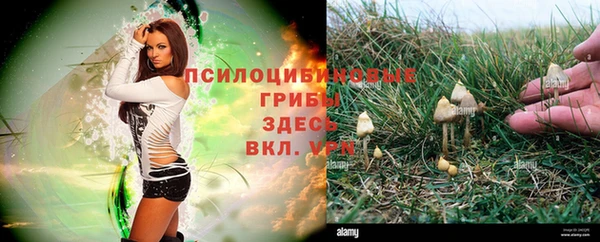 твердый Нефтекумск