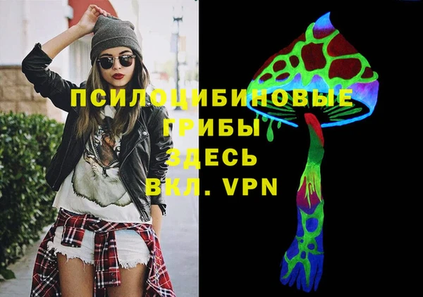 гашик Надым