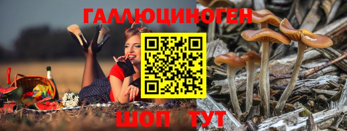 Псилоцибиновые грибы Psilocybe  Галлюциногенные грибы Magic Shrooms  Вход с VPN  Семилуки 