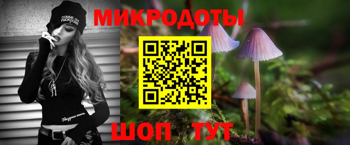 Псилоцибиновые грибы прущие грибы Семилуки